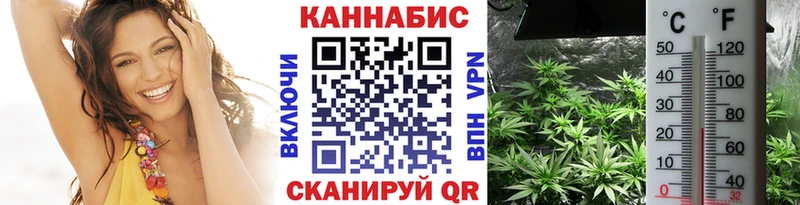 Купить где  Чадан  Конопля AK-47 